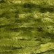 WormGreenLarge