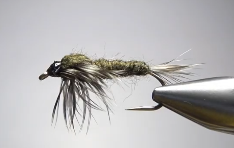 AP Stonefly Nymph