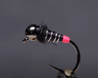 Brite Butt Zebra Midge