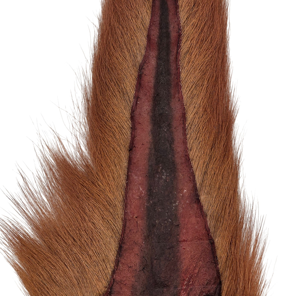 Bucktail