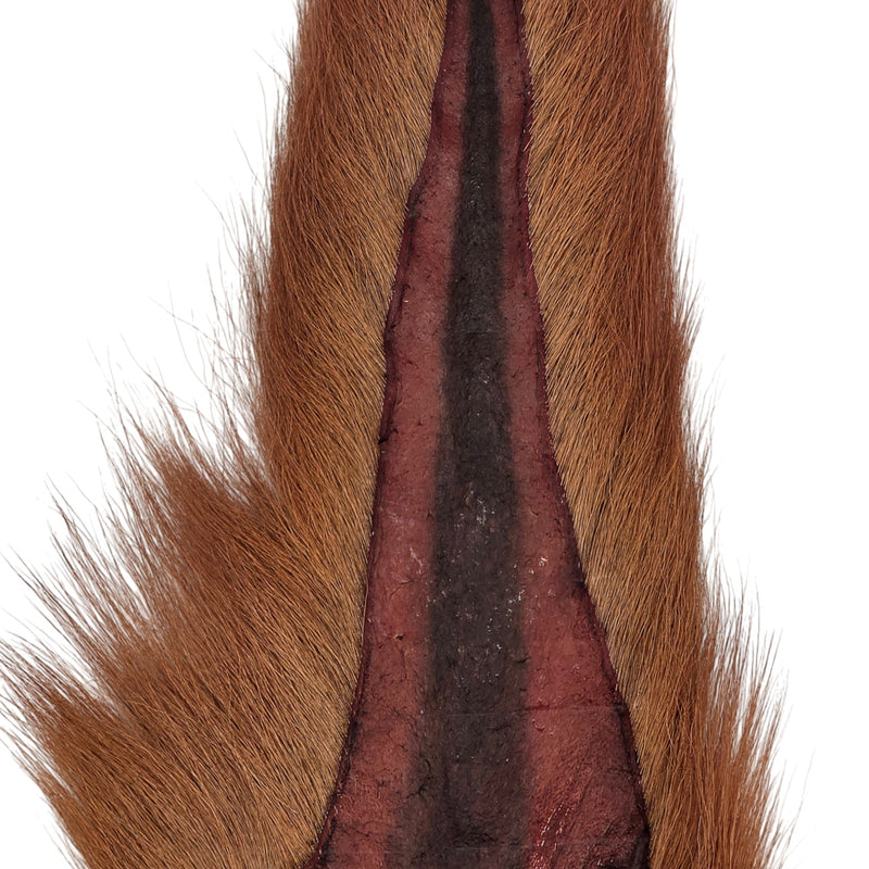 Bucktail