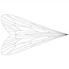 Pro Caddis Wings