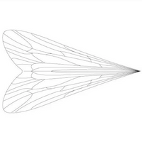 Pro Caddis Wings