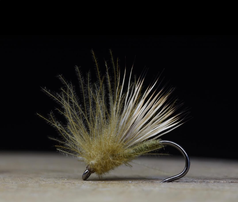 CDC and Elk Hair Caddis