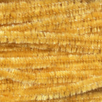 Ginger