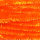 chm271
