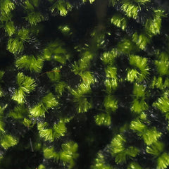 Small Stonefly Chenille Variegated