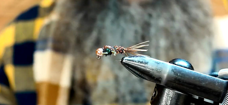 FLY OF THE MONTH - Celtic Blob’s Pheasant Tail