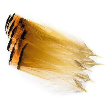 Golden Pheasant Tippets