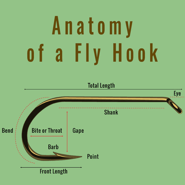 hook_anatomy_square_780x780_7ddcbb50-6f09-4221-91c