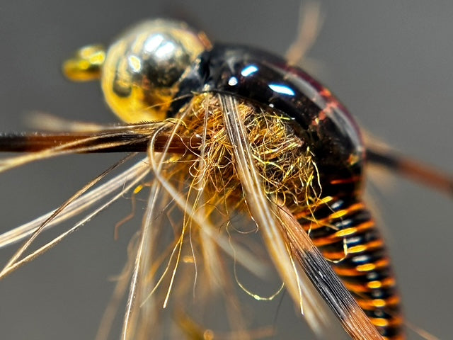Tying Instructions - Step 12 - Jumbo John Variant