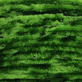 Rayon Chenille, Large