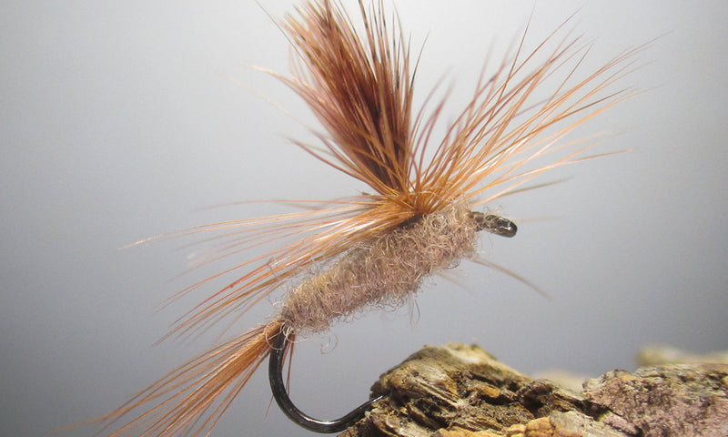 march-brown-parachute-fly---fly-of-the-month-april