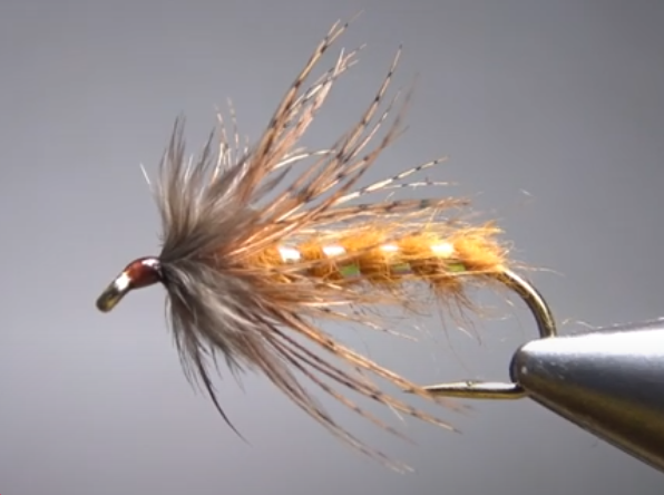 October Caddis Wet Fly