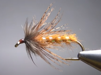 October Caddis Wet Fly