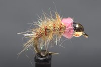 Pink Squirrel Variant