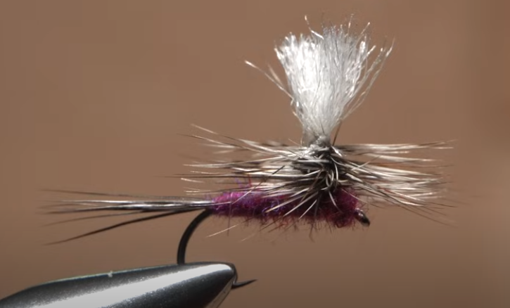 Parachute Purple Haze