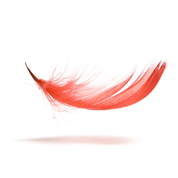 Hackle & Feathers