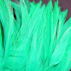 whitlock's turquoise