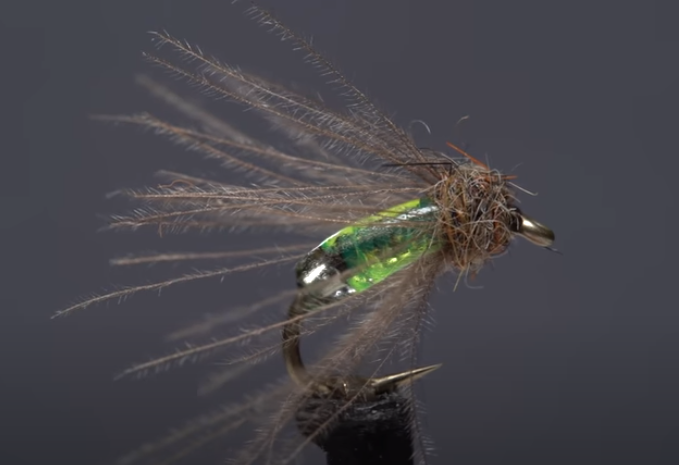 Shiney Hiney Caddis Pupa