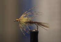 Sulphur Soft Hackle