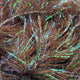 Pesca Vida Streamer Straggle