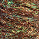 Pesca Vida Streamer Straggle
