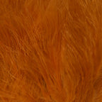 Ginger