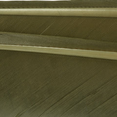 w4100495_I
