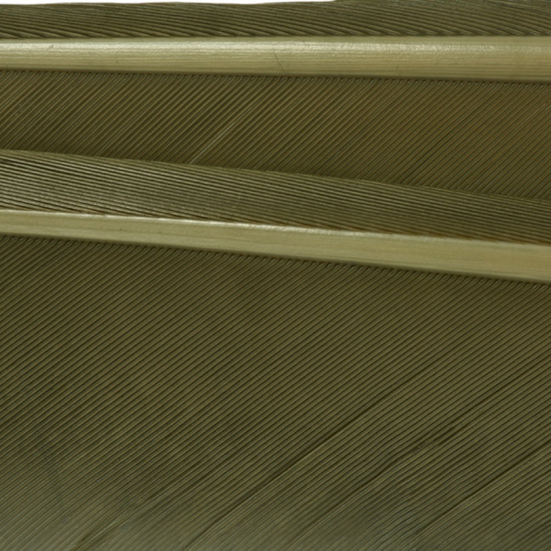 w4100495_I