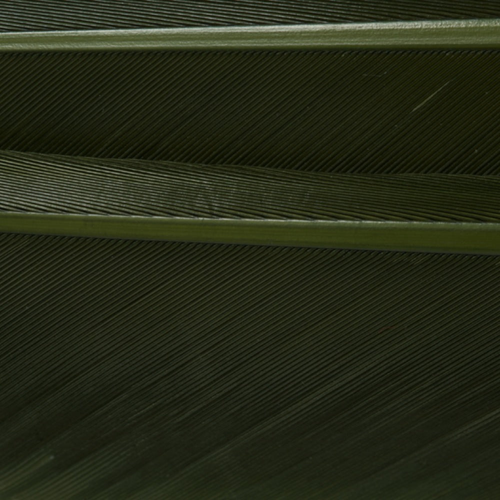 w4100505_I