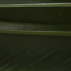 w4100505_I
