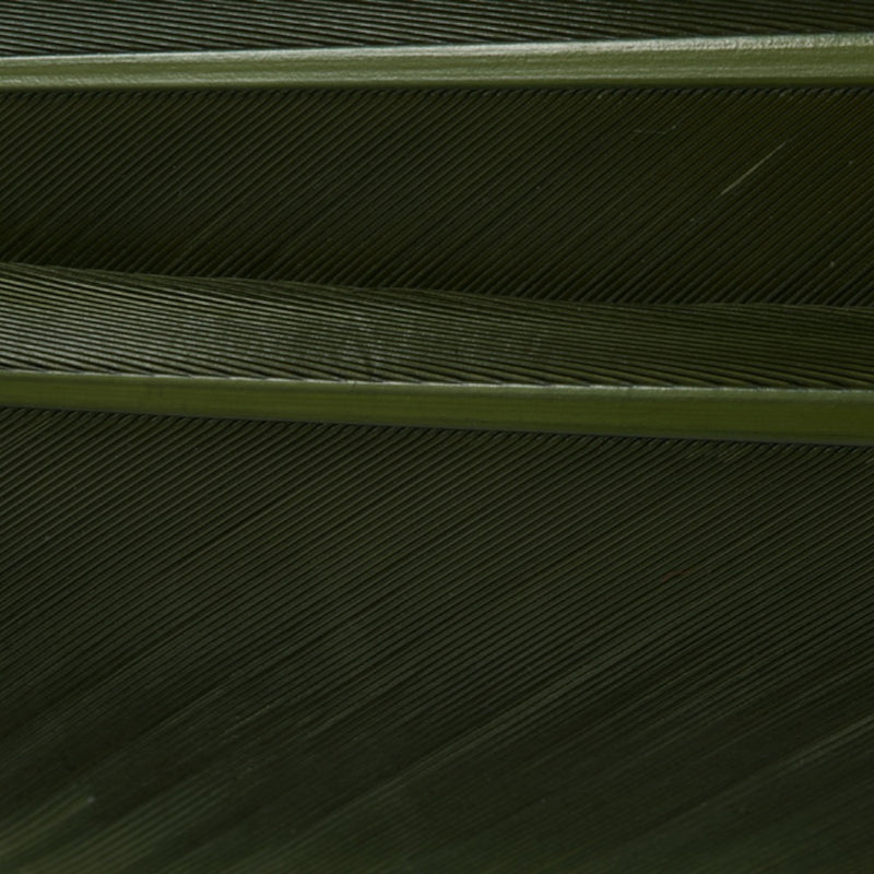 w4100505_I