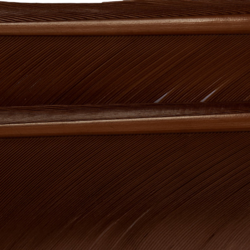 w4100525_I