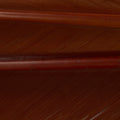 Turkey Biots