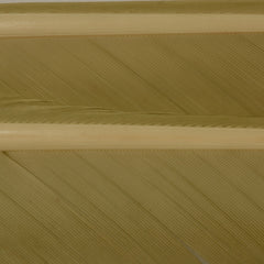 w4100550_I