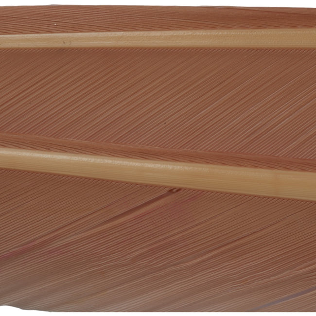 Turkey Biots