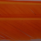 Fluorescent Orange