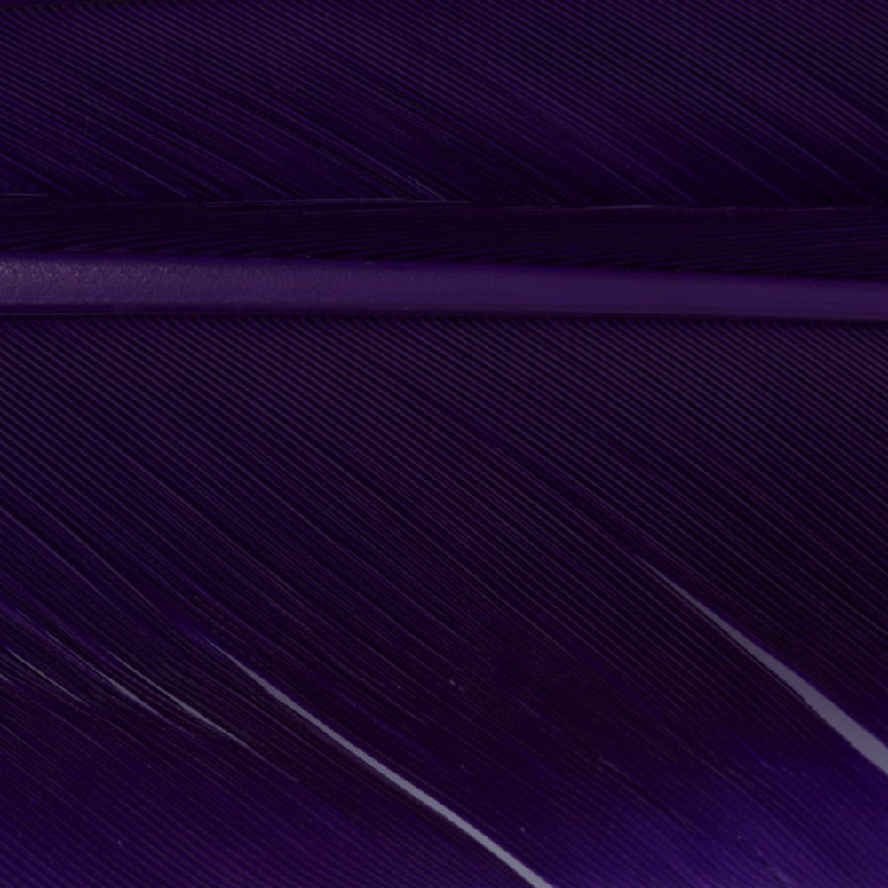 w4100580_I