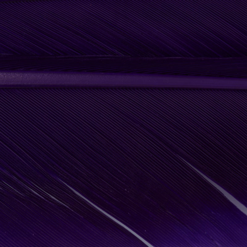 w4100580_I