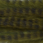 Olive Grizzly Black Barred
