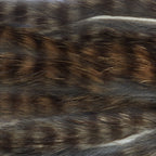 Grizzly Black Barred