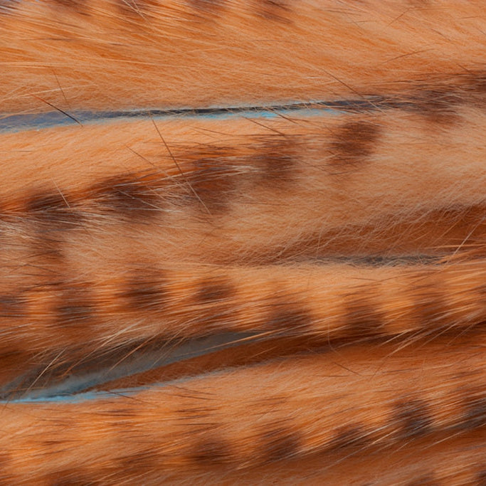 Rabbit Zonker Strips