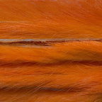 Craw Orange