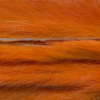 Craw Orange