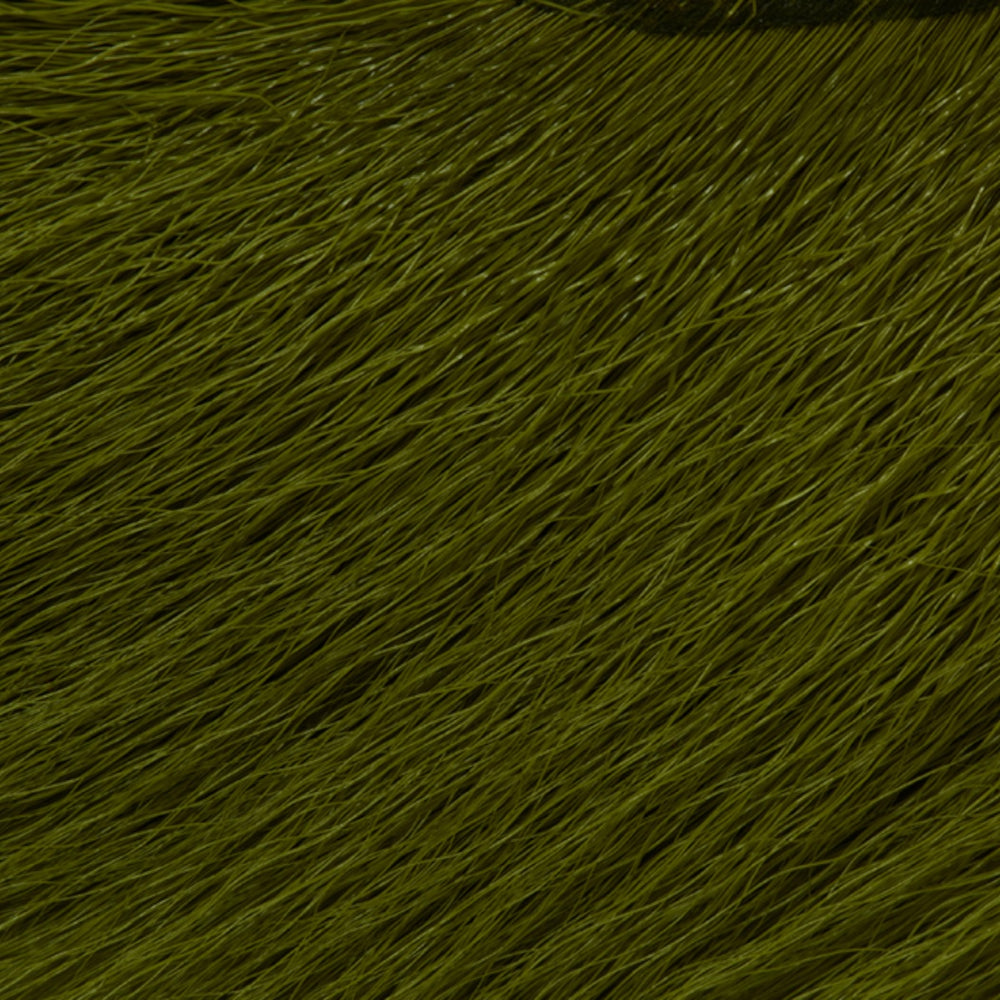 w4200695_I
