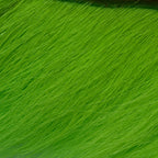 Fluorescent Chartreuse