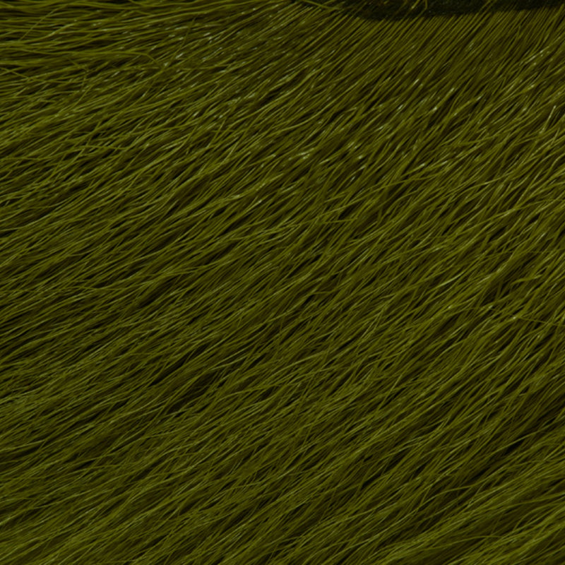 w4200755_I