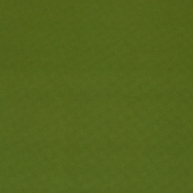 Bug Back