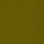 Yellow Olive